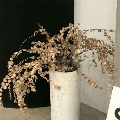 五大连池FurryQQ群介绍